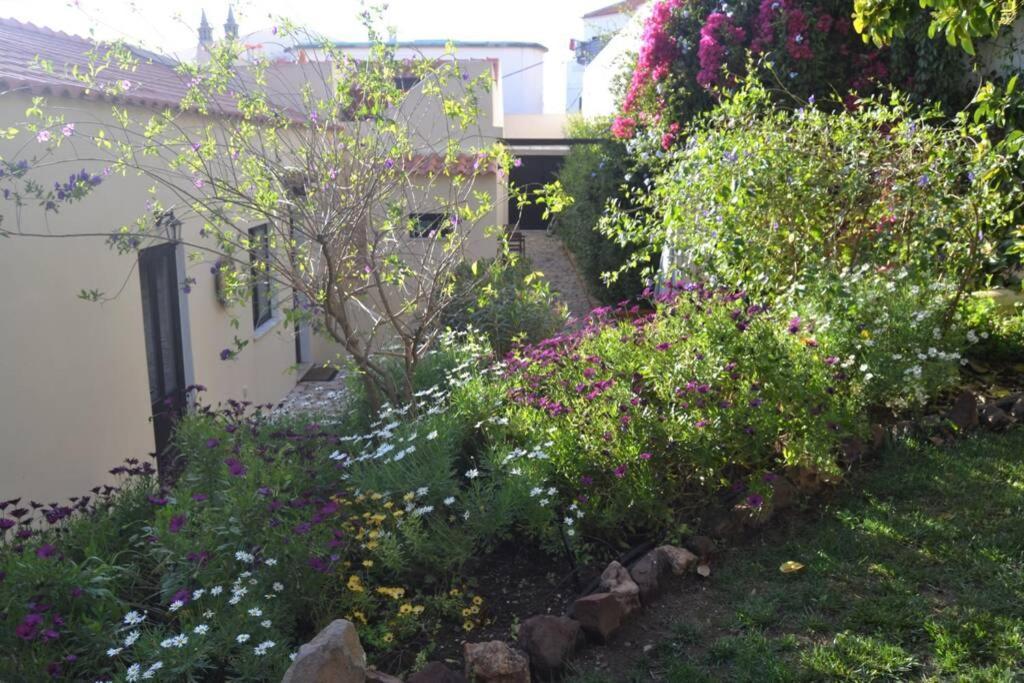 Garden In The City Silves Buitenkant foto