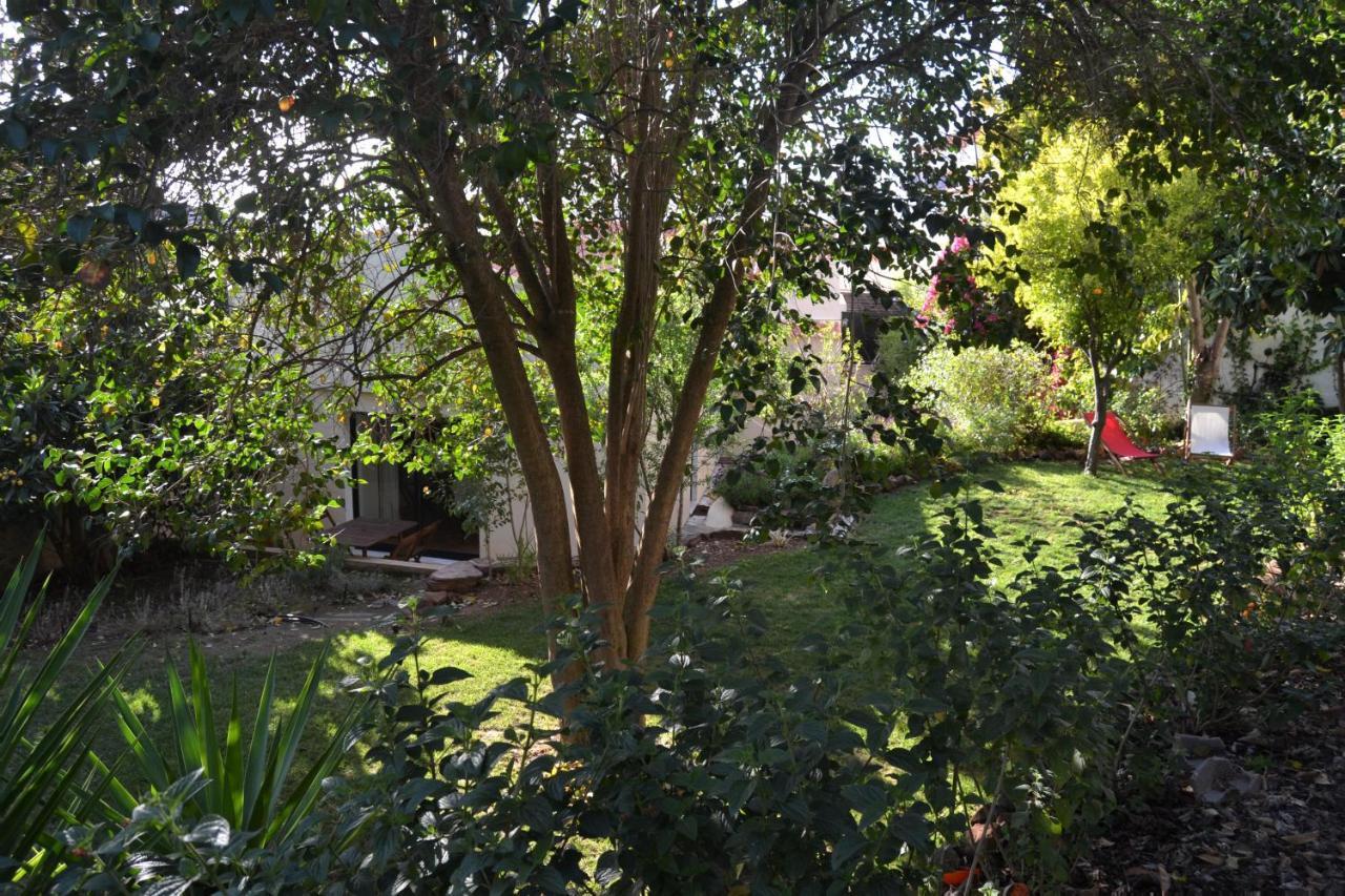 Garden In The City Silves Buitenkant foto